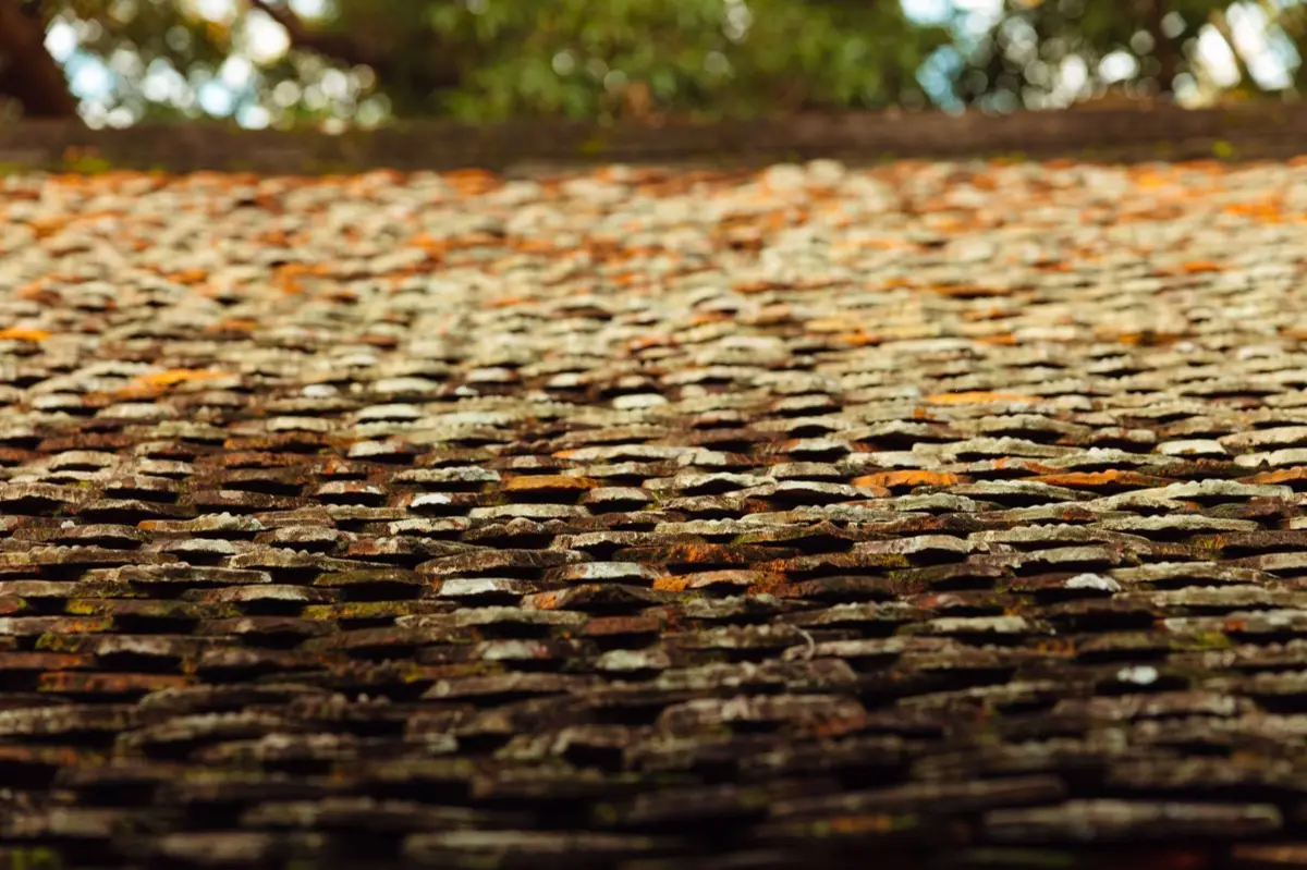 Aging shingle roof with moss growth and granule loss in Hammond, IN